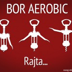 bor-aerobic
