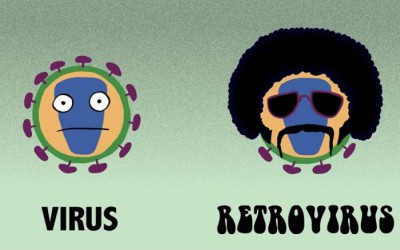 Vírus és retrovírus