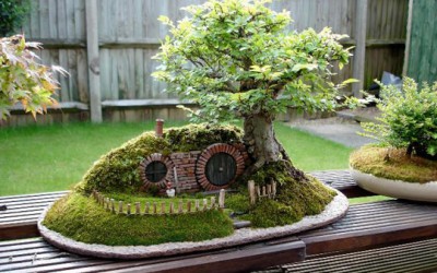 Hobbit bonsai