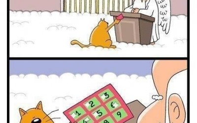 A macskák Szent Péter előtt