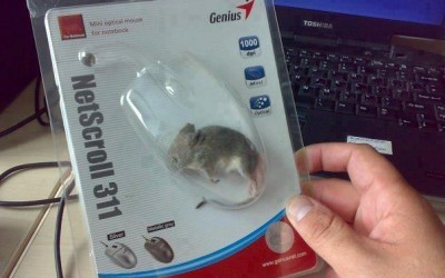 Vettem egy egeret tegnap a Tescoban