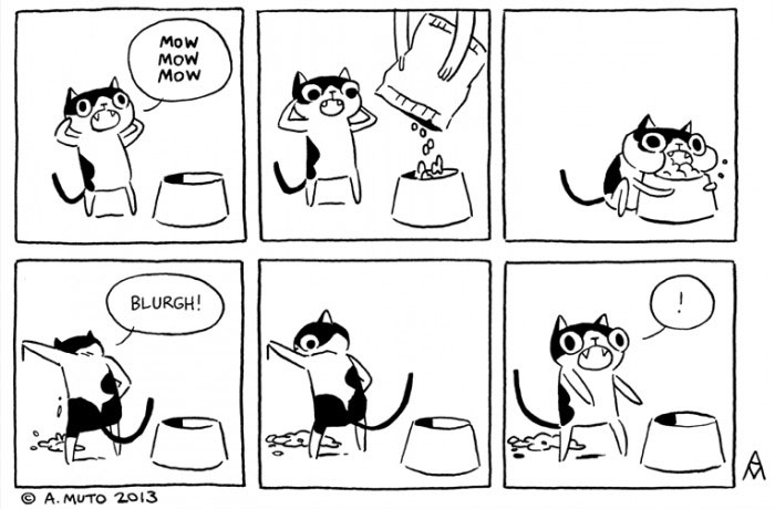Macska logika