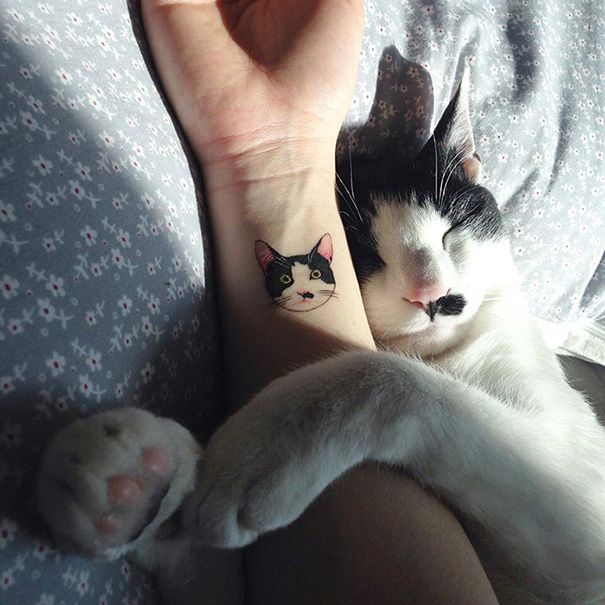 A 10 legtutibb minimalista cica tetkó cica kreatív macska minimál tetkó tetoválás 
