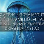 meduza-teny